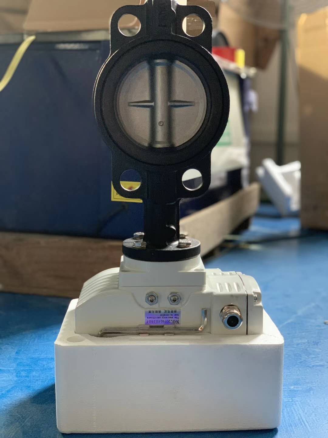 軟密封蝶閥 軟密封蝶閥