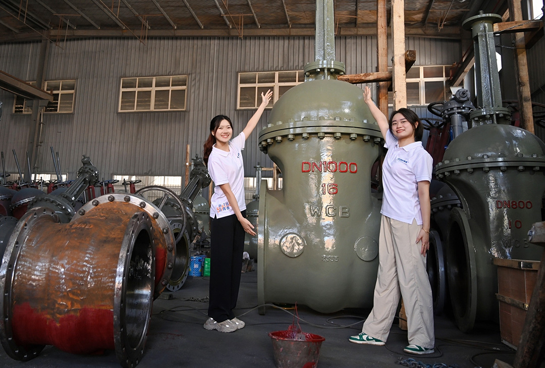 大型自動化閥門，已成為現(xiàn)代化工業(yè)管道系統(tǒng)中不可或缺的關(guān)鍵設(shè)備